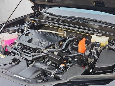 2025 Toyota Crown Signia Limited AWD (Natl)